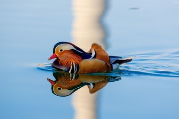 3757