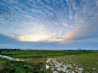 8E3F5722-67E7-44E3-A836-982D2798E80B/L0/001