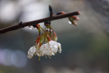 103021