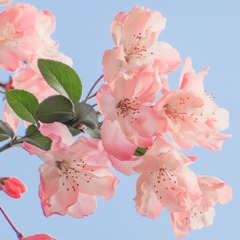 EE3DDF90-5104-46BF-90D3-928CE65108E1/L0/001