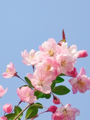 8D34CA86-210A-4E13-8922-FAFD6A5334A6/L0/001