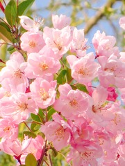 72CC9C0B-8DC2-424C-A430-02C7F8B24E50/L0/001
