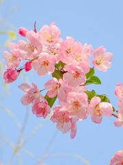 C14AB370-F178-43F8-AA8A-5ACBFEA8EA6F/L0/001