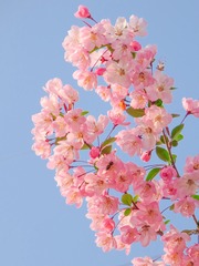D9FA7353-9B7B-49BA-9A92-5843A671F083/L0/001