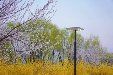 B370A192-6789-45F9-B013-48CAF89865CA/L0/001