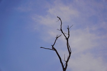 976D9C66-D9DA-4080-BB91-7038B884AF67/L0/001
