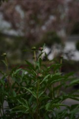 AD041FD4-7CF8-44C1-A8A5-163C7BC84D92/L0/001