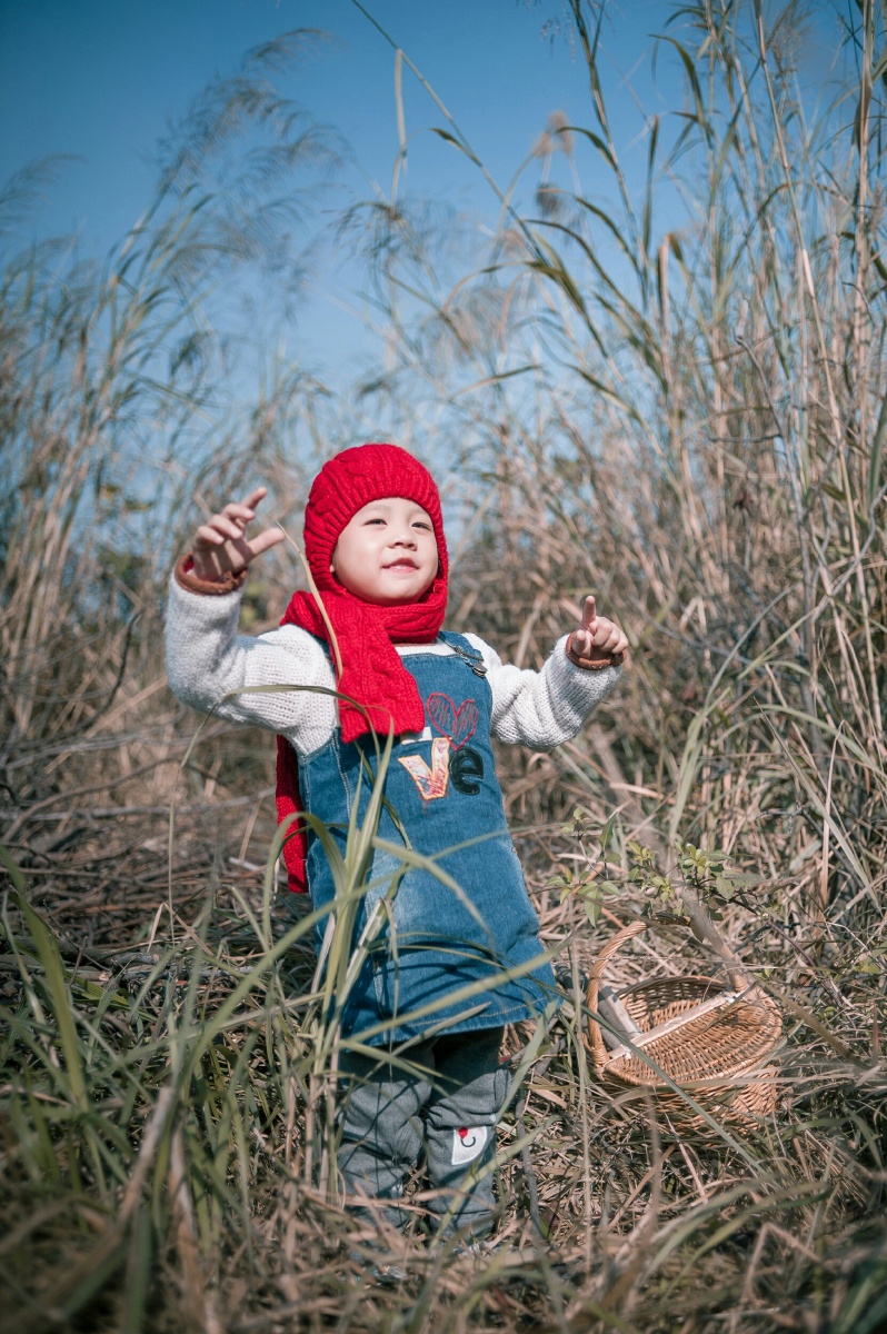 拾柴火的小女孩