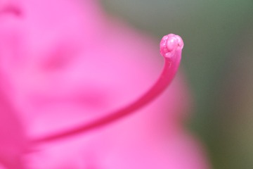 1209625