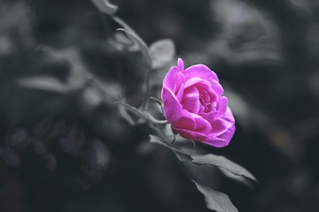 1238021