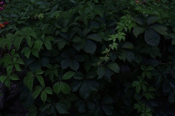 1000220108