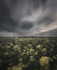 1816302