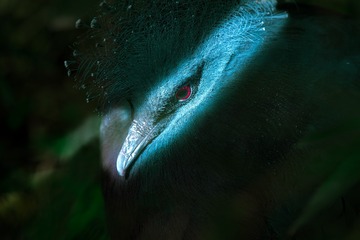 P2085545