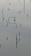 4618746