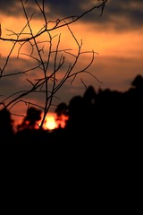 678BBD3C-CCF1-464E-B00C-E3853DAC3459/L0/001
