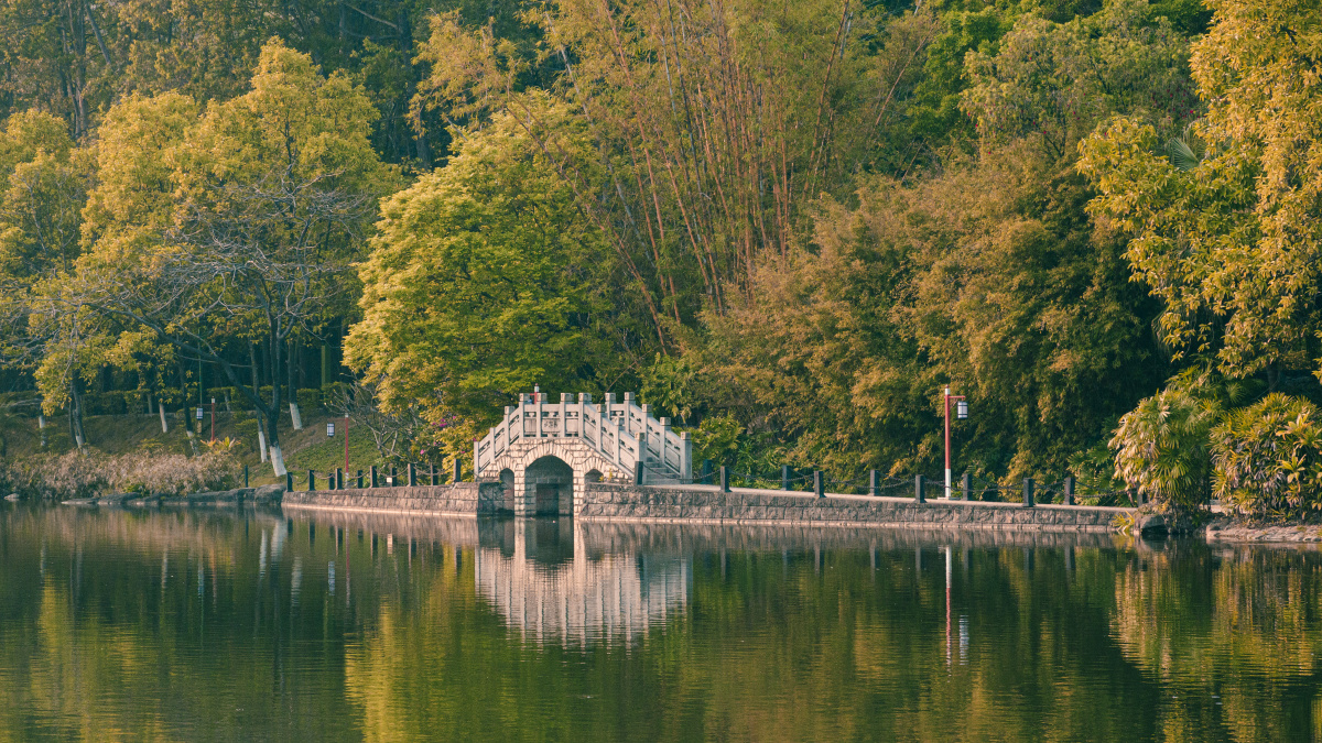 佛山三水森林公园初春人们带着一家老小来和大自然亲密接触