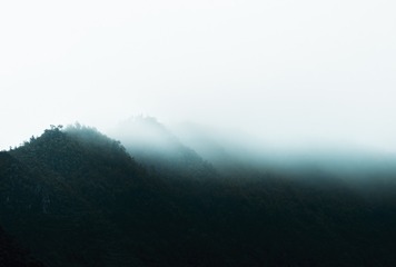 1000020666