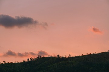 1000021630