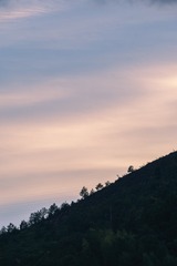 1000021631