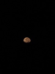 9D51654C-F46C-48E2-9B57-012139461B00/L0/001