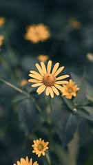 1000049012