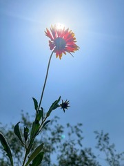 2CEDBCCB-384B-4D85-BA8F-342D7C39DF7F/L0/001