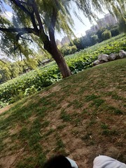 1000010946