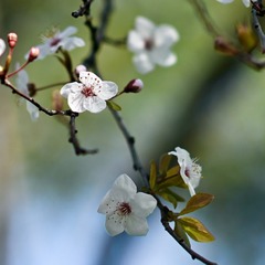 7CD284AB-C18F-4C7B-93D7-4C1AF60FE55E/L0/001