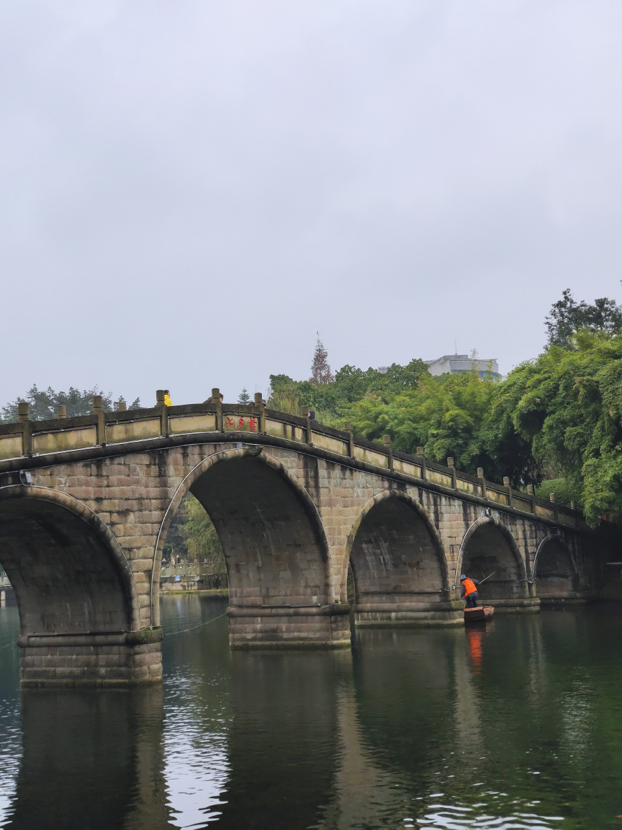 分行接绮树倒影入清漪