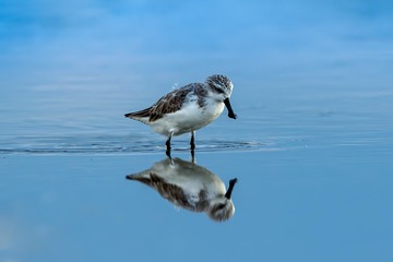 11413