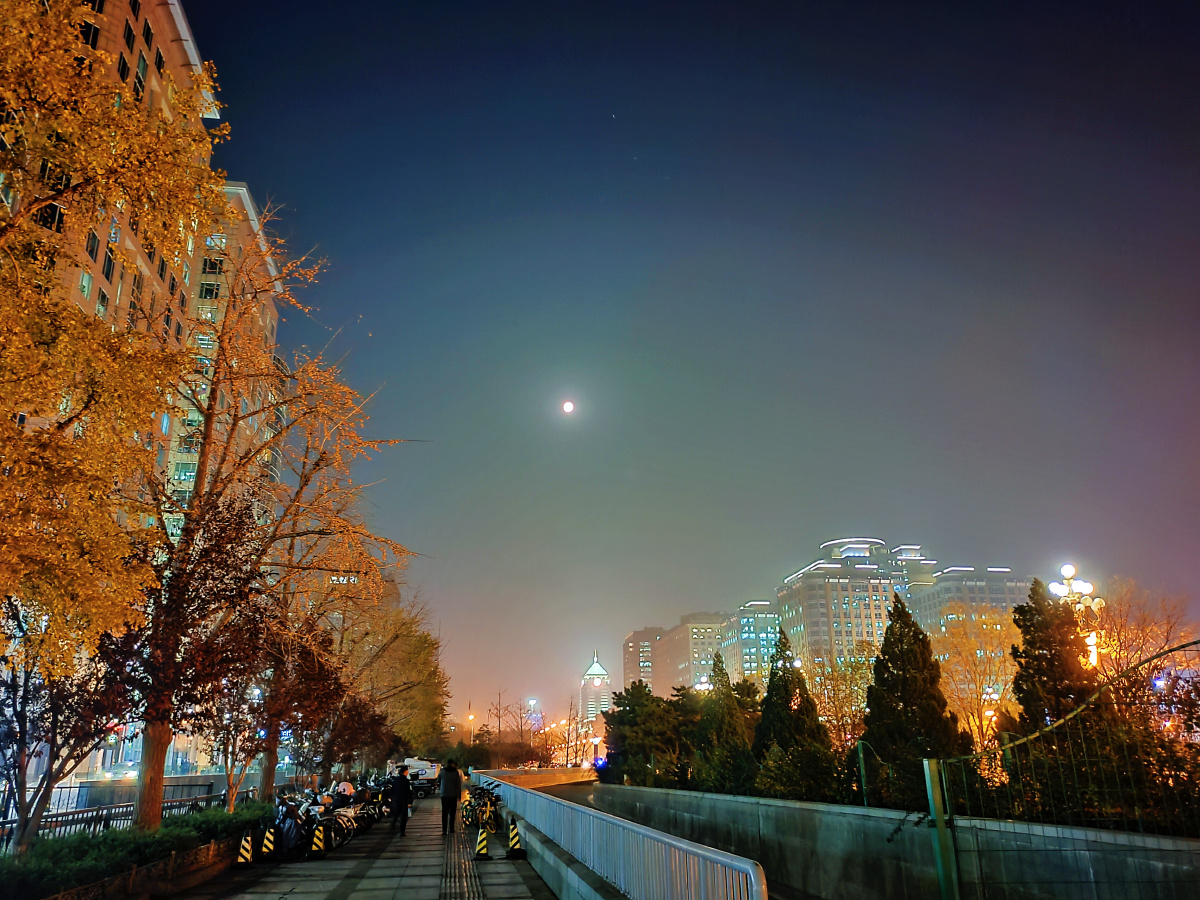 秋天的北京街道