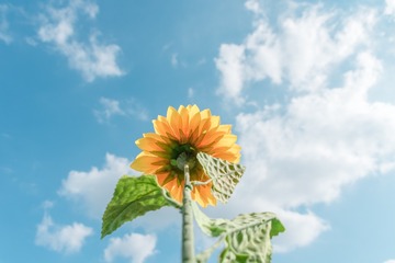 E9D8B3BC-804E-4844-8E5F-F65DEA3AE174/L0/001