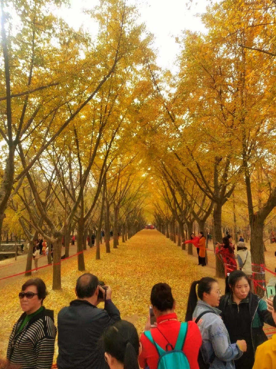 邳州时光隧道