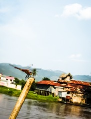 2A61F5BF-D255-4BD7-8F8A-DCDAF9A824CB/L0/001