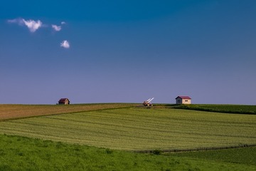 494779