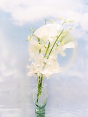 1F7BEC31-BBA7-4360-A95F-5DB12C86B98A/L0/001