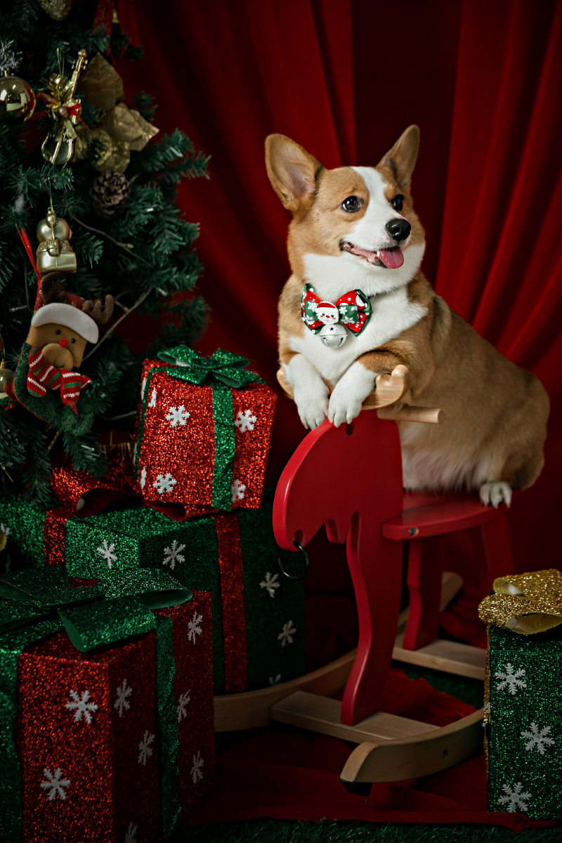 圣诞萌宠系列来袭