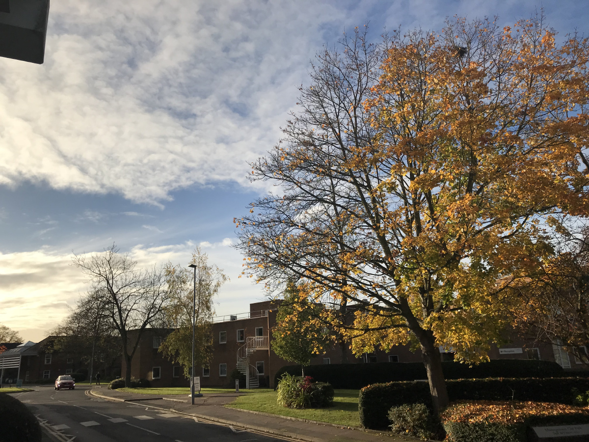 英国大学校园克兰菲尔德