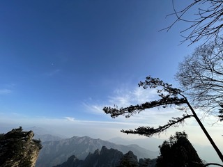 587F0736-E5F2-45E5-B83D-069A9D514C2E/L0/001