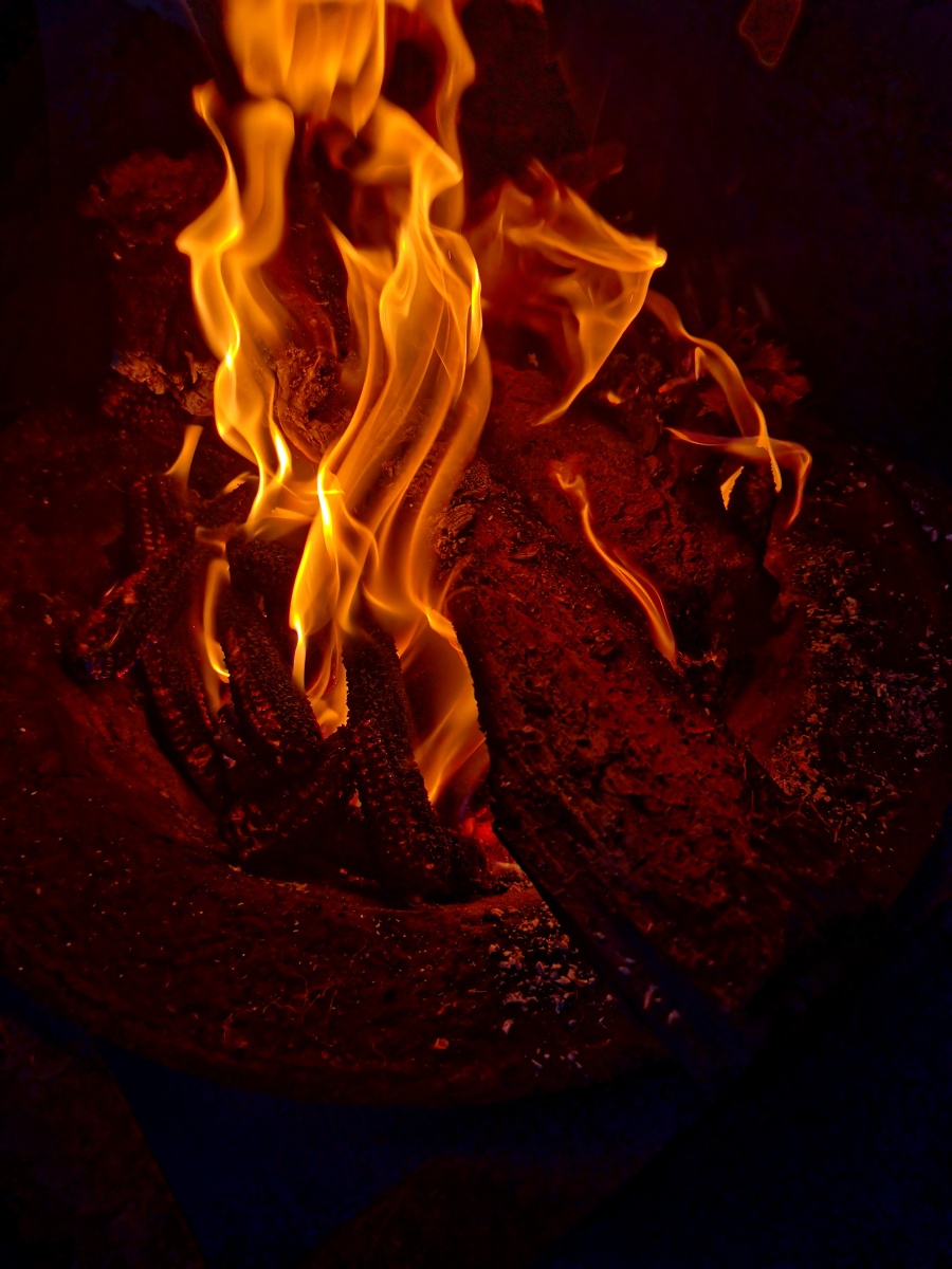 冬天里的一把火儿温暖着你我她给生活比个耶耶耶吧