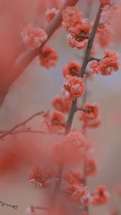 B1E62206-9300-4238-A798-C665F22923BB/L0/001