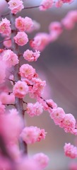 435CDBFE-2AE8-4017-A7C5-79CC000A46BD/L0/001