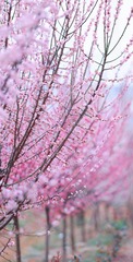 F5C1ABF6-5E91-4445-95A2-D2E5A4D8C0C8/L0/001