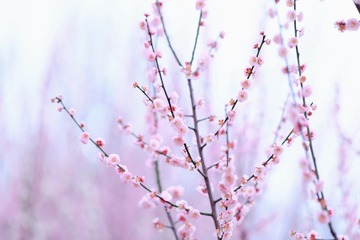 E741E6BE-3BA8-47D3-A7D6-7ADBC04075AF/L0/001