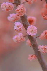 40FF97D6-B583-477C-9656-B23EE3EA0180/L0/001