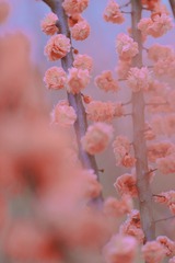 A151C084-3A56-4E7F-92FC-8C8879E8C406/L0/001
