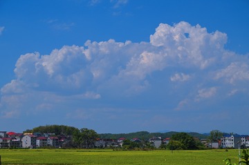 C44B86AE-73E2-4CF8-9890-6923F5261567/L0/001