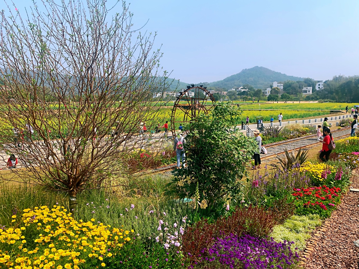 广州径下村纳米小镇