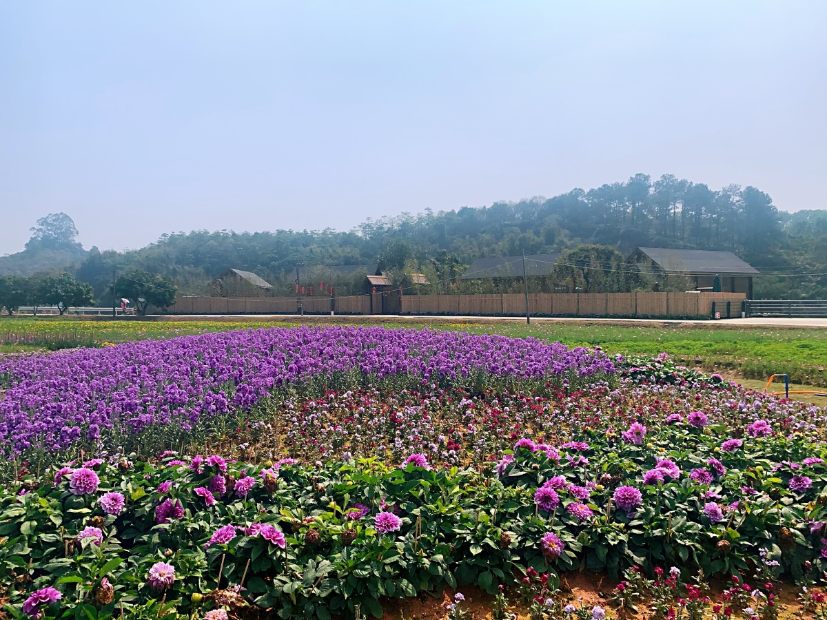 广州径下村纳米小镇