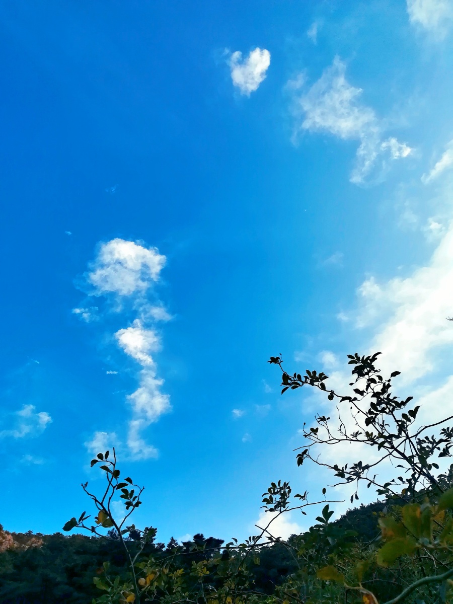 大连的风景很美手机随拍